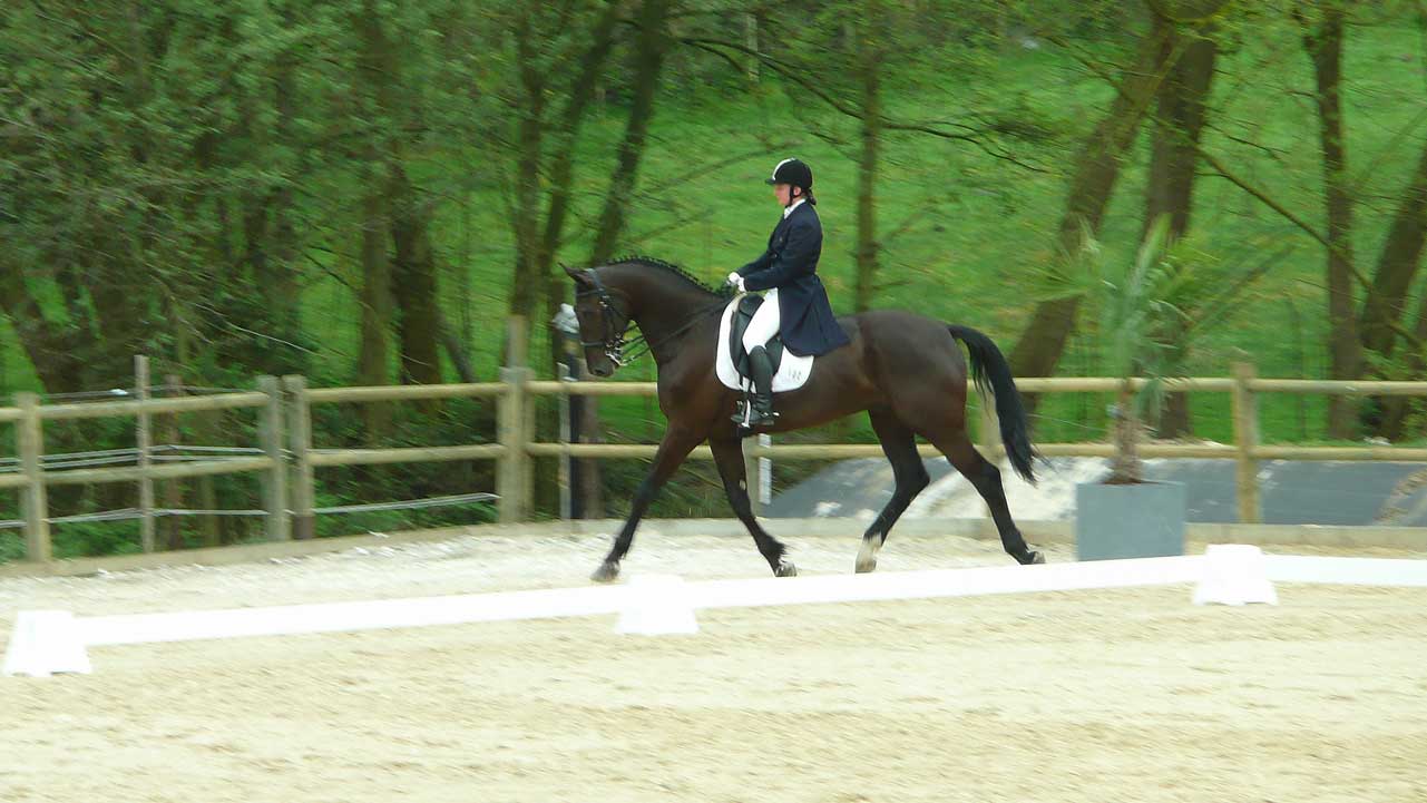 Wedstrijdfoto met paard