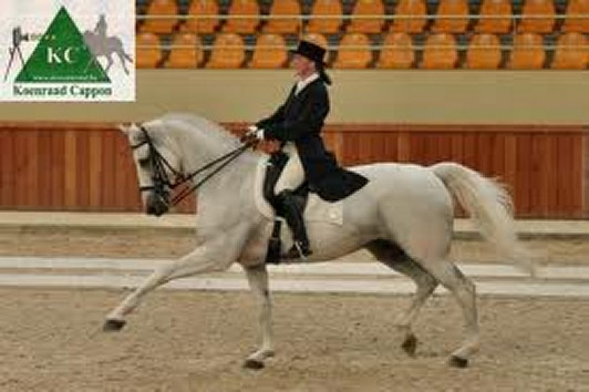 Wedstrijdfoto met paard