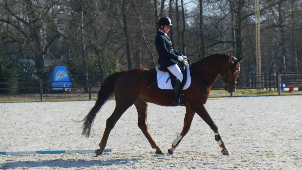 Wedstrijdfoto met paard