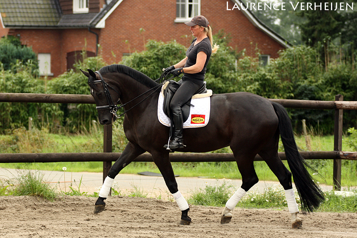 Paard wedstrijdklaar maken